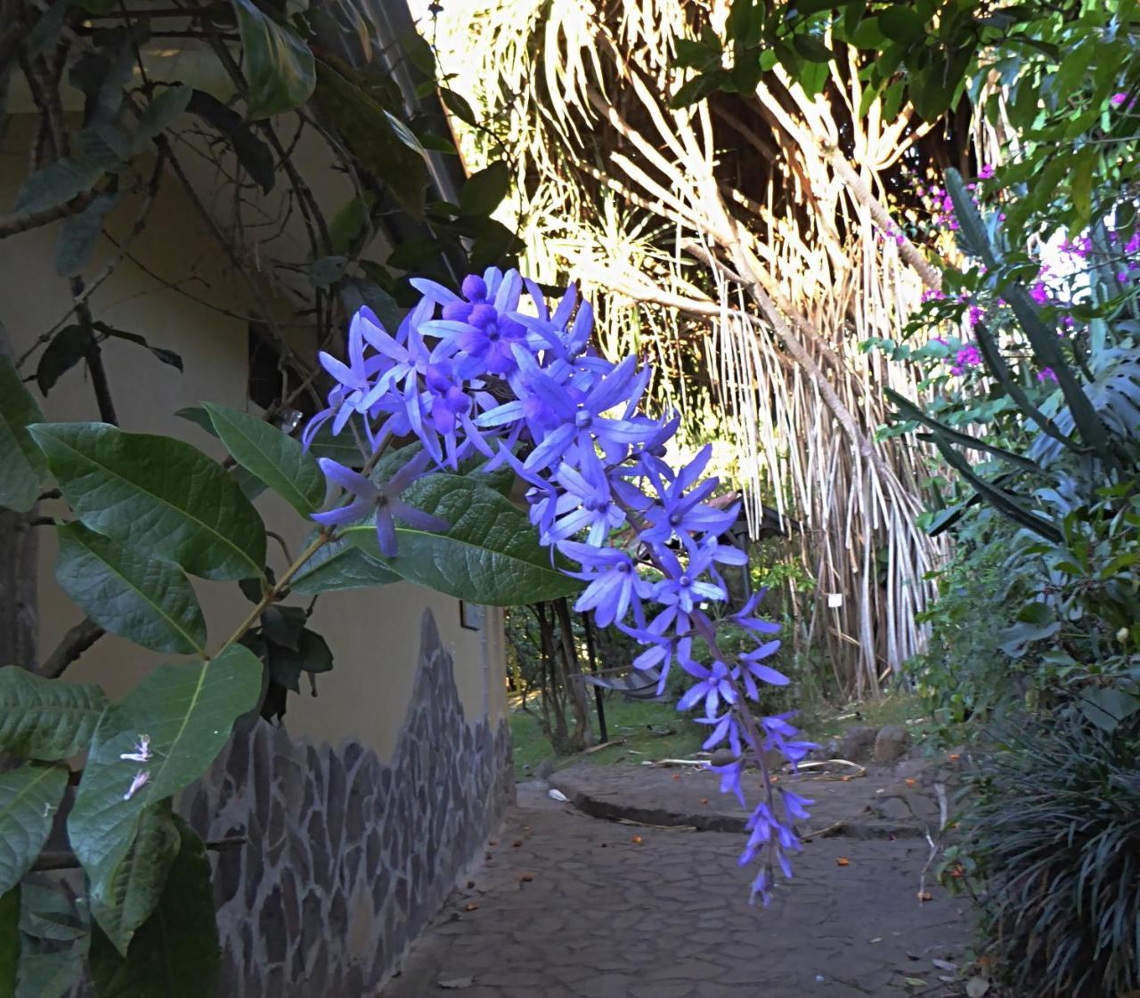 Pura Vida Hotel Alajuela Buitenkant foto