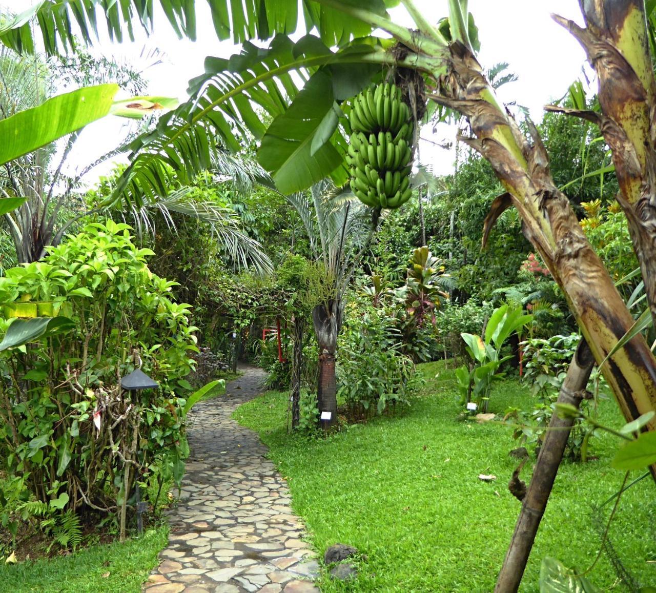 Pura Vida Hotel Alajuela Buitenkant foto