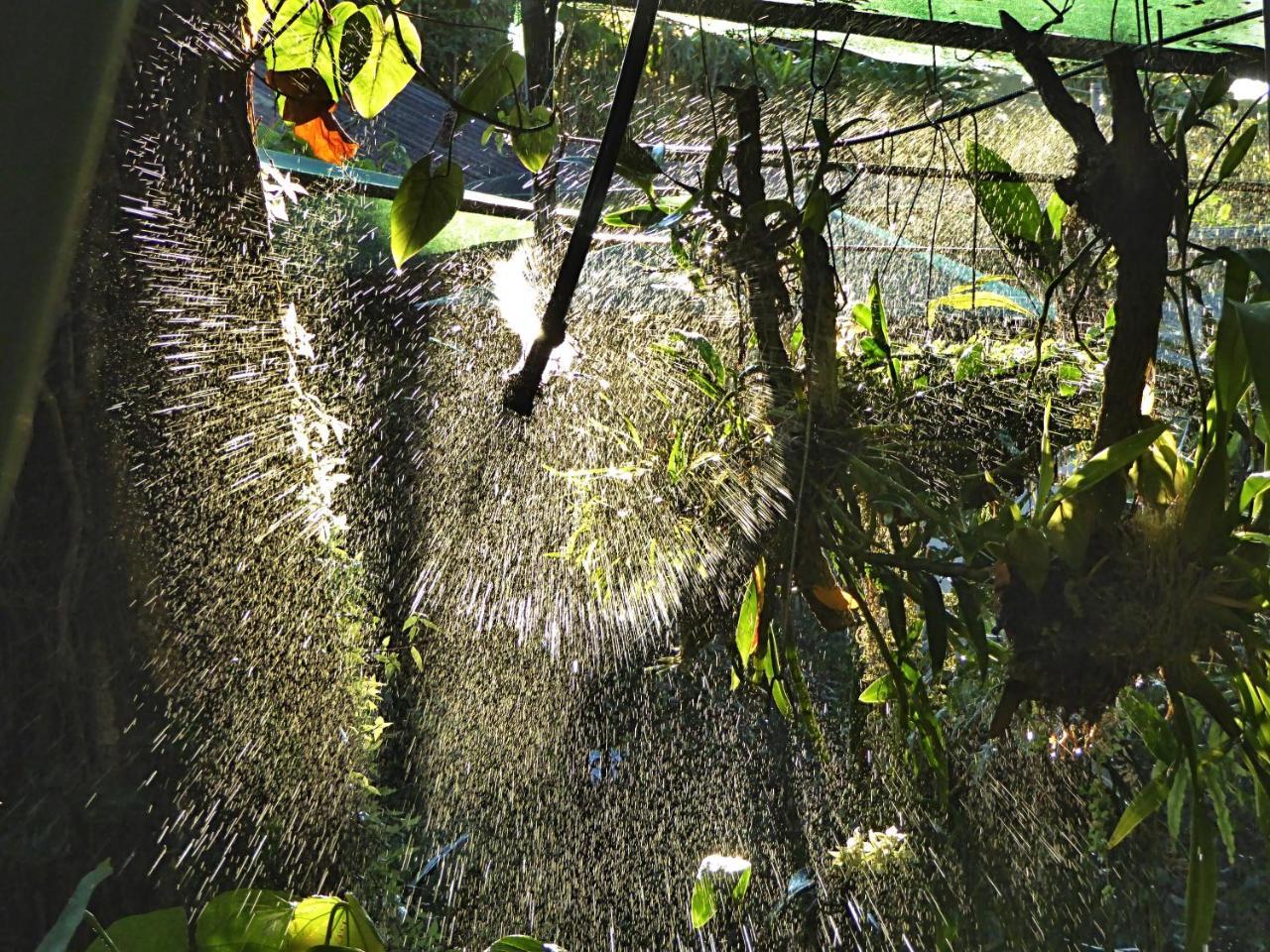 Pura Vida Hotel Alajuela Buitenkant foto