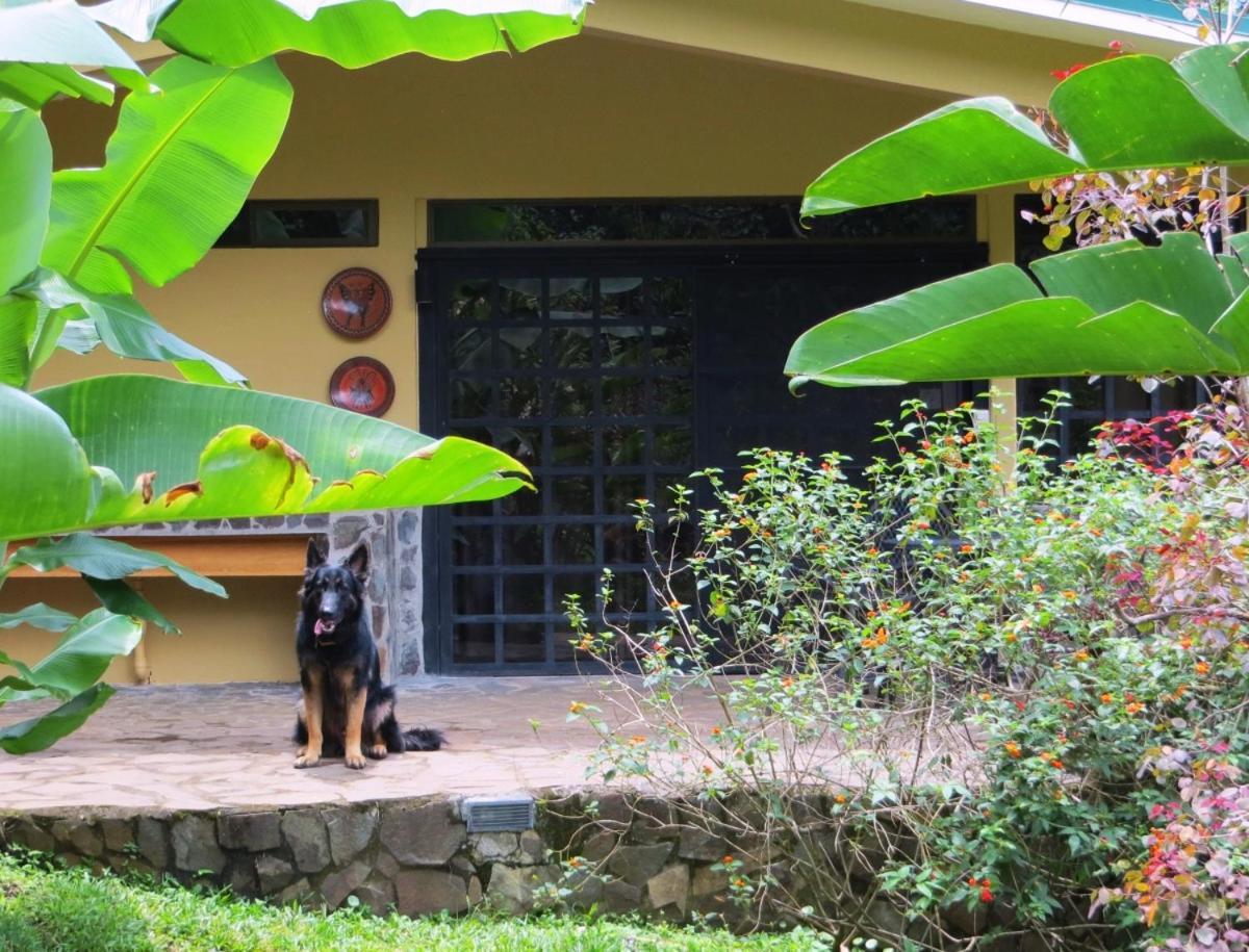 Pura Vida Hotel Alajuela Buitenkant foto